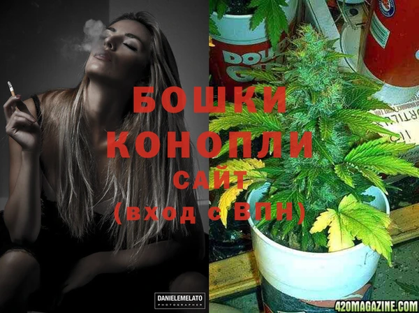 крисы Горнозаводск