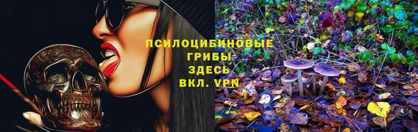 винт Горно-Алтайск