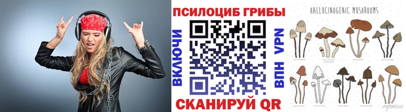 Псилоцибиновые грибы мицелий  как найти закладки  Первомайск 